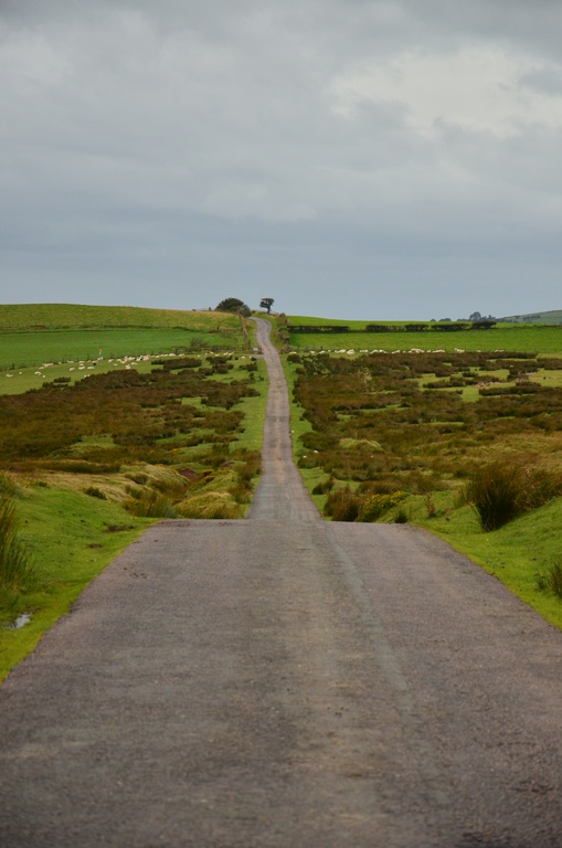 2016-08-20 South Wales/DSC_0162.JPG